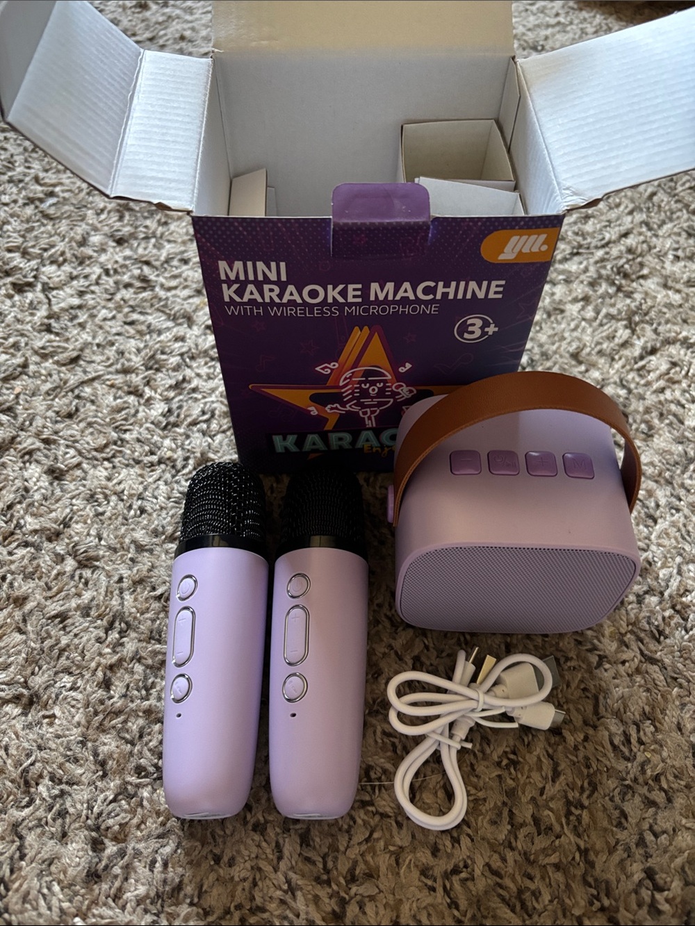 Mini Karaoke Machine with Microphones